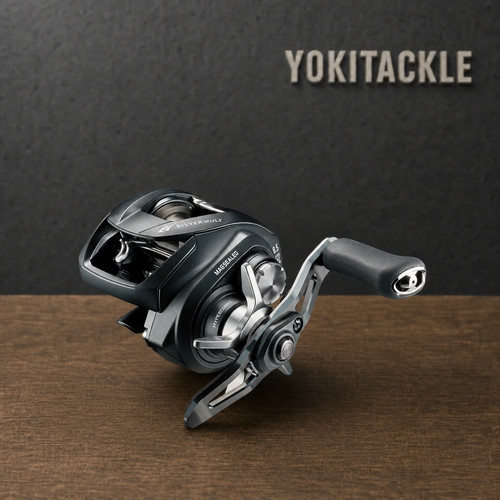 Mulinello baitcasting daiwa - da,