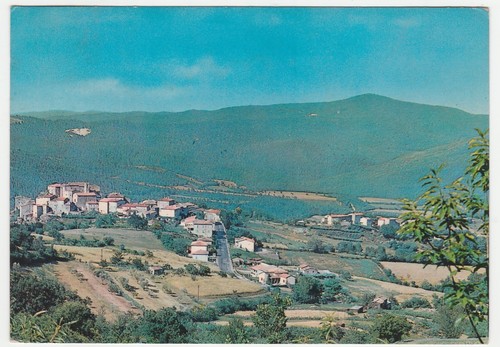 Torniella grosseto - torniella,