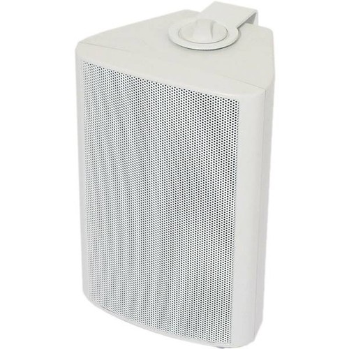 Visaton 50310 100 v 8 - 50310,