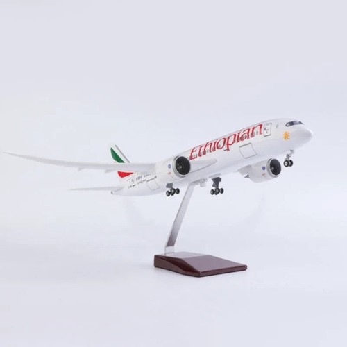 Modello aereo extra large