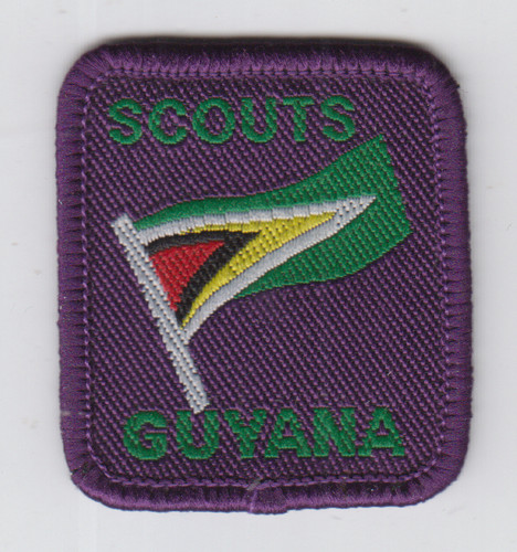 Boy scout badge national - boy,