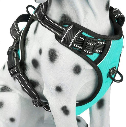 Imbracatura per cani pull - no,