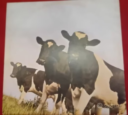 Pink floyd atom - atom, heart