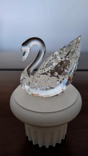 Swarovski scs cigno - cigno, rinnovo