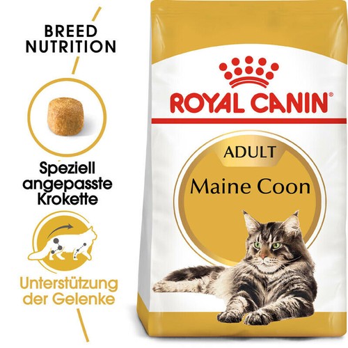 Royal canin maine coon - canin, cibo