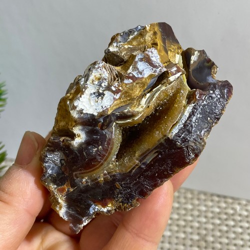 Bonsai suiseki pietra - -,
