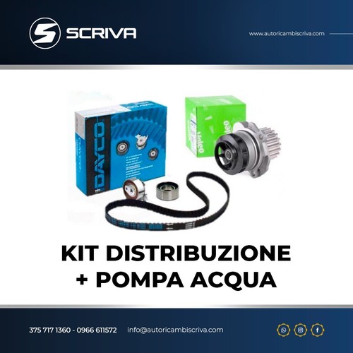 Kit distribuzione pompa - kit, +