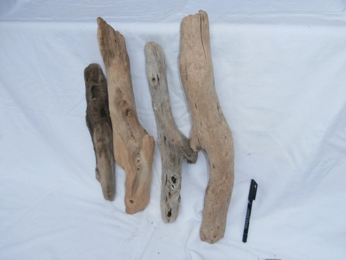 Legno mare 48cm largo - legno, di