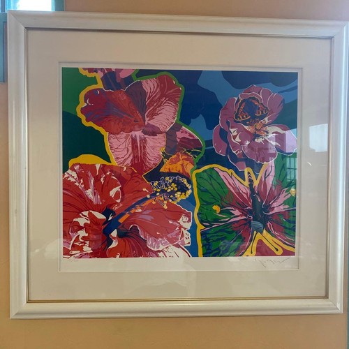 Hiro yamagata hibiscus - [hiro, hibiscus]