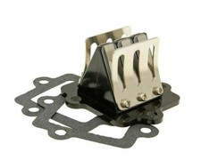 APACHE QUAD 100cc  RACE REED