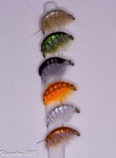 Fliegentom Assortimento con 6