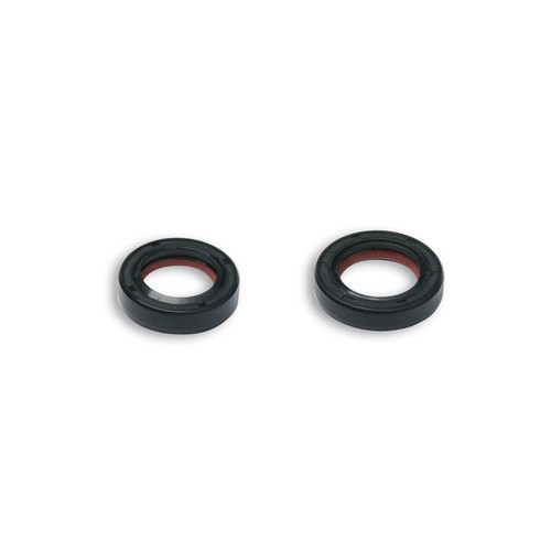 Kit paraoli malossi fkm ptfe - kit,