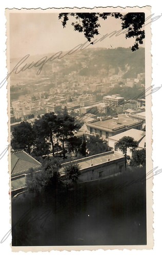 Napoli villa floridiana - napoli,