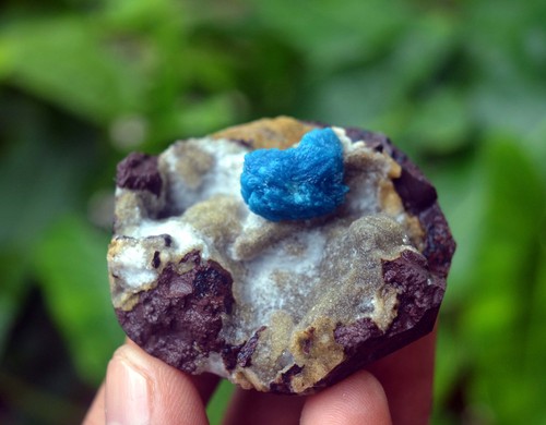 Cavansite esemplare - su,