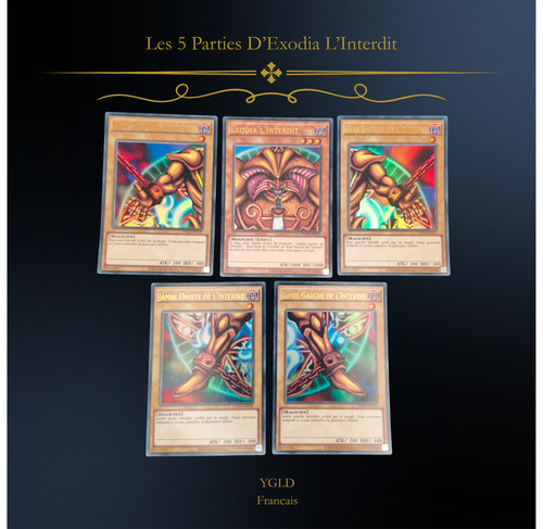 Les 5 parties - 5,