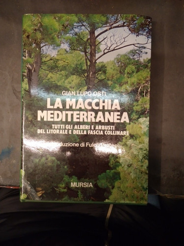 Gian lupo osti - lupo, macchia