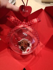 PALLA DI NATALE CANE GATTO