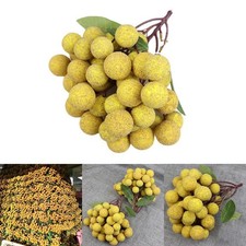 Decorazione da vetrina con