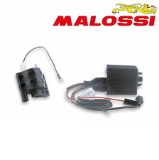 MALOSSI 5513196 CENTRALINA TC