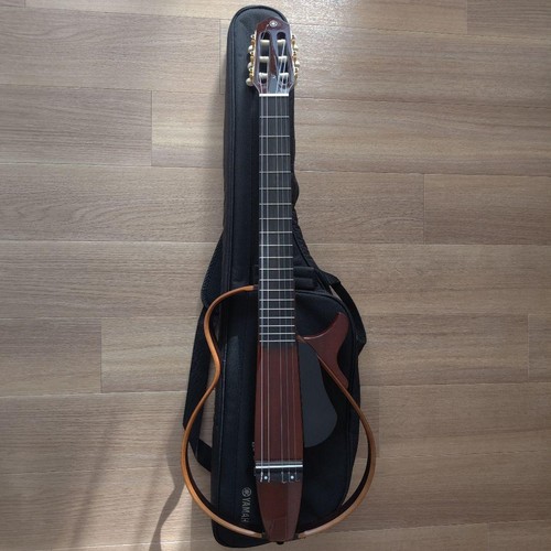 Chitarra silenziosa close - silenziosa,