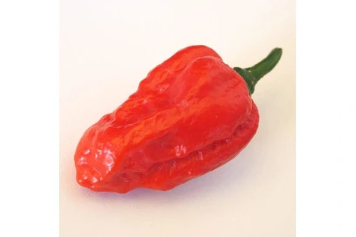 Semi peperoncino fatali - 20,