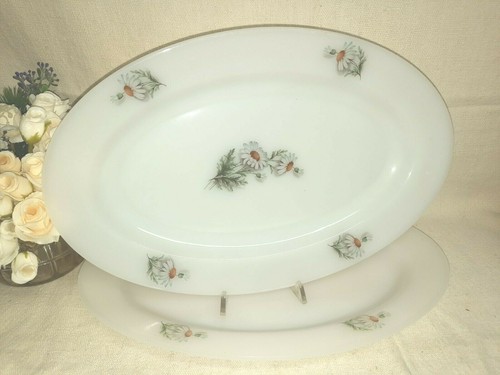 Arcopal france vintage due - arcopal,