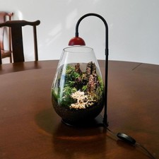 Lampada per piante da interno