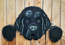 Recinzione per cani Terranova Peeker Peeper giardino cortile arte festa parco cani decorazione