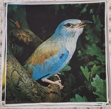 Fazzoletti Perofil vintage 