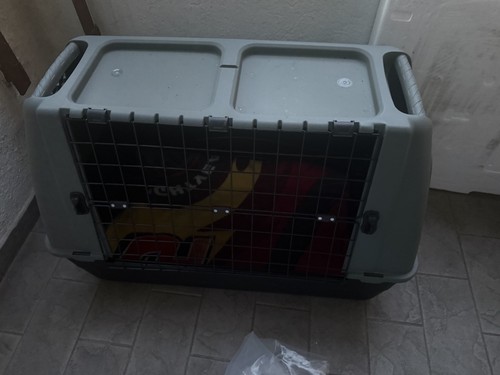 Trasportino cane usato volte - cane,