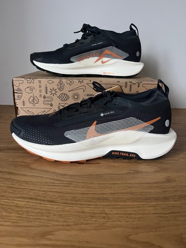 Nike pegasus trail gtx homme - trail, 5