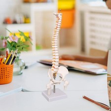 Modello della colonna