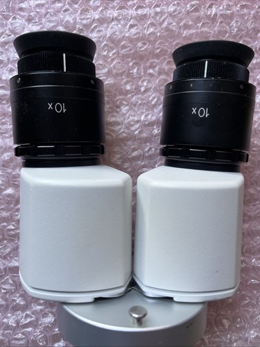 Binoculars microscope type - microscope,