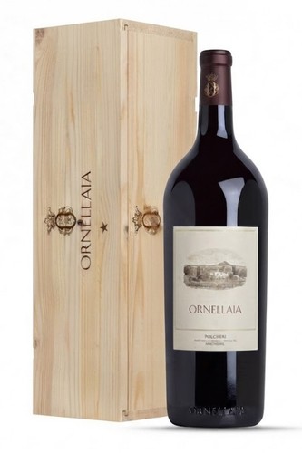 Bolgheri doc superiore - bolgheri,
