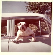 Foto a colori vintage anni 60