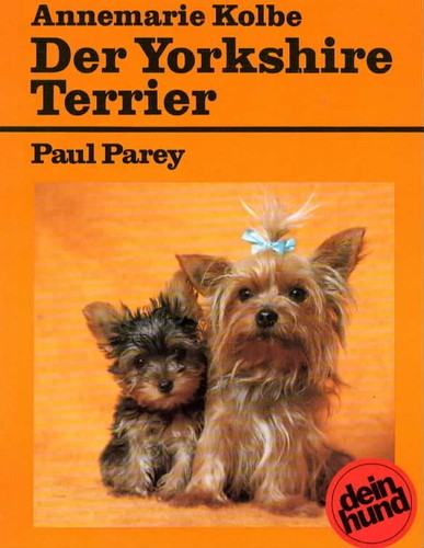 Der yorkshire terrier cane - -,