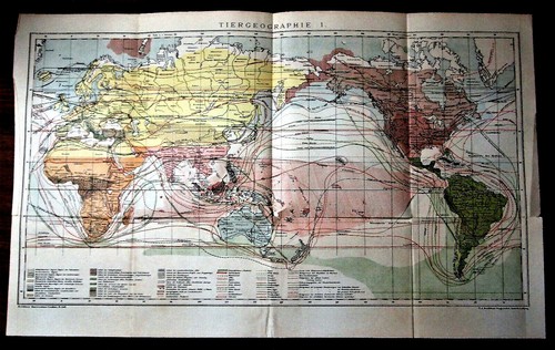 1894 antica mappa geografica - 1894.antica,