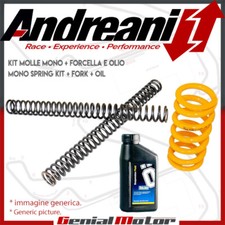 Andreani Mono Spring Kit