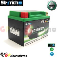 327104 BATTERIA LITIO SKYRICH