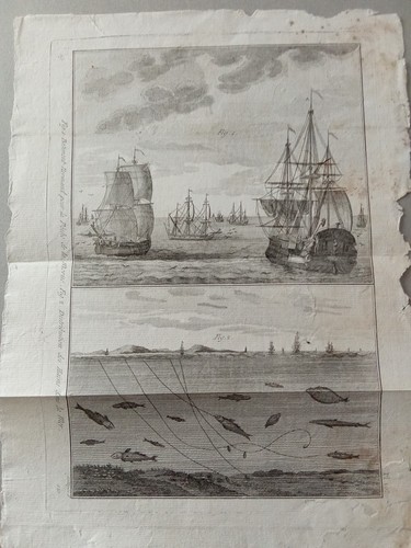 Stampa Antica 1700 Navi Pesca