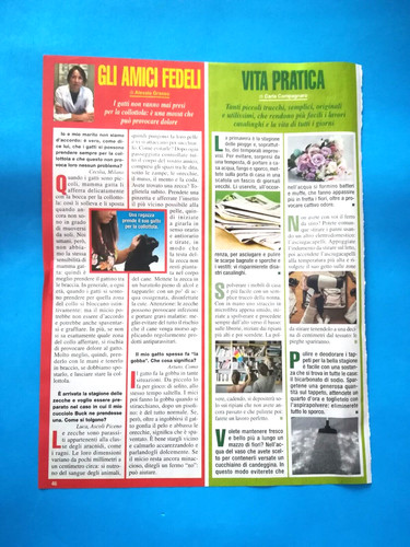 Ritaglio articolo giornale - ritaglio,