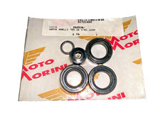 Serie Paraoli Motore Malaguti
