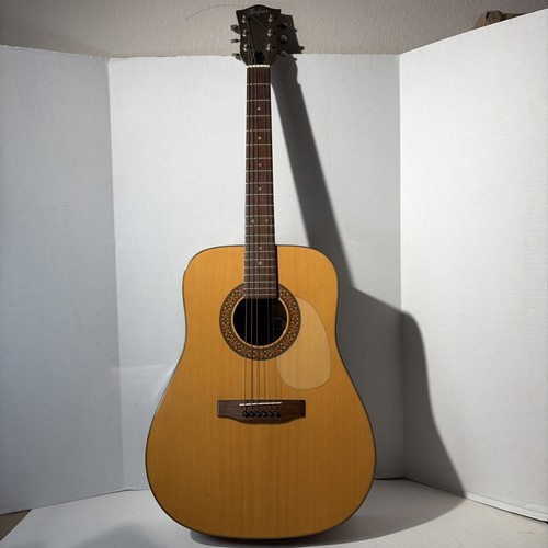Chitarra acustica vintage