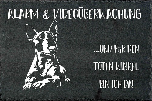 Bull terrier cartello - bull, di