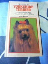 Yorkshire terrier Jackie Ransom