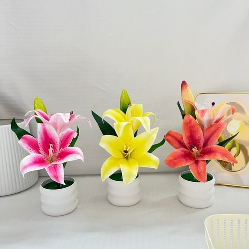 Pianta vaso fiori - vaso, di