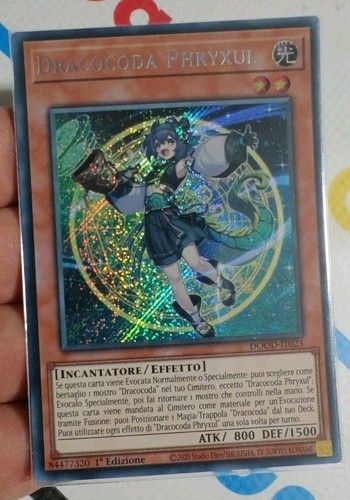 Dracocoda phryxul - phryxul, •