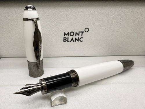 Penna stilografica premium - penna,