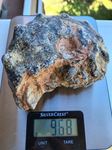 Fossili grande ammonite - fossili,