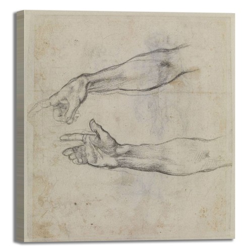 Michelangelo ebbrezza noè - michelangelo,